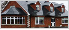 McMullan O'Donnell Windows