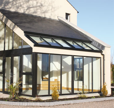 Bog Oak with with partial glazed roof